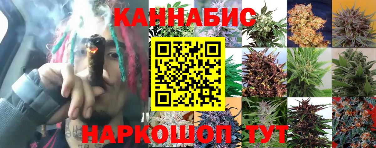 Шишки марихуана план  Бошки Шишки Amnesia  Шишки марихуана AK-47  Вход с VPN  Луховицы 